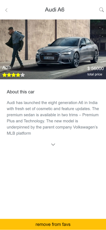 car detail page demo